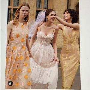 Cinq a sept Coletta Gown nwt